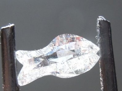 Balık kesim pırlanta